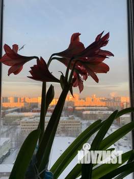 3-к квартира, вторичка, 72м2, 16/16 этаж